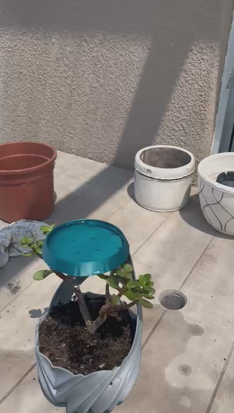 Self-Watering Teardrop Planter 💧🌱